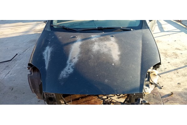 Recambio de capo para fiat bravo (198) 1.9 jtd 16v cat referencia OEM IAM   