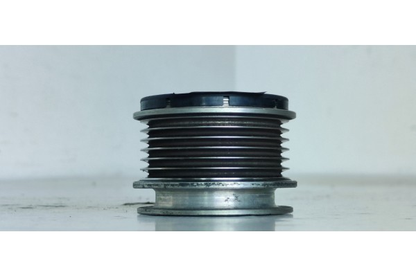 Recambio de polea alternador para volkswagen passat berlina (3c2) advance plus referencia OEM IAM 55347001  