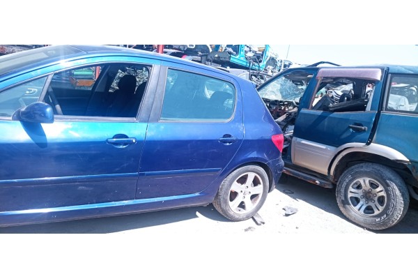 Recambio de puerta trasera izquierda para peugeot 307 (s1) xs referencia OEM IAM   