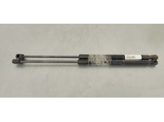 AMORTIGUADORES MALETERO / PORTON 22798954 