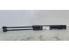 AMORTIGUADORES MALETERO / PORTON 5802A008 