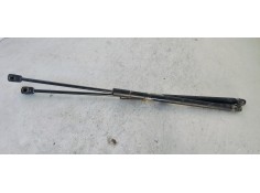 AMORTIGUADORES MALETERO / PORTON 315005777 