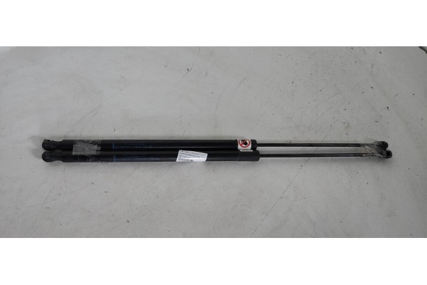 Recambio de amortiguadores maletero / porton para ford grand c-max trend referencia OEM IAM AM51U406A10AC  