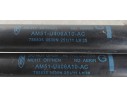 Recambio de amortiguadores maletero / porton para ford grand c-max trend referencia OEM IAM AM51U406A10AC  