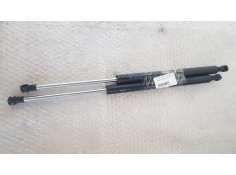 AMORTIGUADORES MALETERO / PORTON 