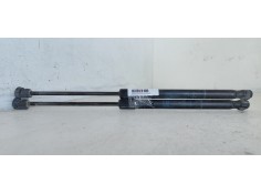 AMORTIGUADORES MALETERO / PORTON 244638295133 