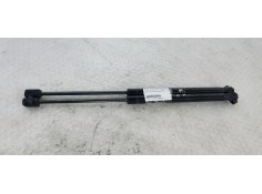 AMORTIGUADORES MALETERO / PORTON 