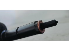 Recambio de inyector para bmw serie 3 berlina (e90) 2.0d 163 [320] referencia OEM IAM 0445110216  