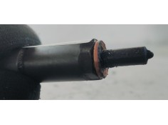 Recambio de inyector para bmw serie 3 berlina (e90) 2.0d 163 [320] referencia OEM IAM 0445110216  