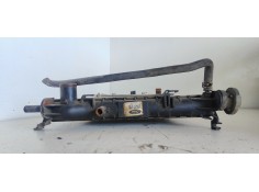 Recambio de radiador agua para ford focus berlina (cak) ambiente referencia OEM IAM 98AB8005MF  