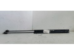 AMORTIGUADORES MALETERO / PORTON 