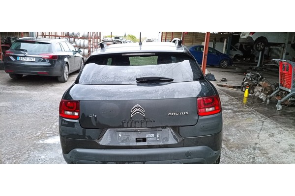 Recambio de porton trasero para citroen c4 cactus shine referencia OEM IAM   